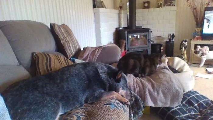 My Brother And I Are Just Chilling