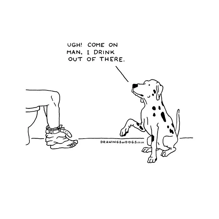 After My Anxiety Forced Me To Drop Out Of A Philosophy PhD I Started Drawing Dog Comics