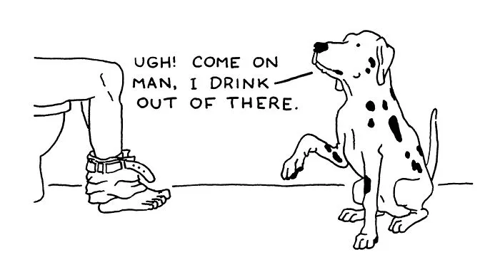 After My Anxiety Forced Me To Drop Out Of A Philosophy PhD I Started Drawing Dog Comics
