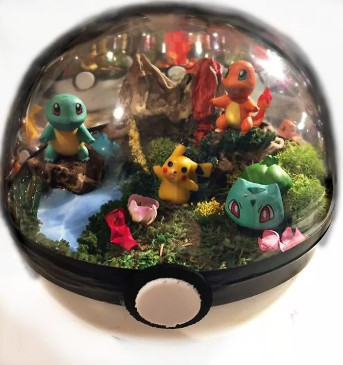 Handmade Pokeball Terrariums! Gotta Catch Em All!