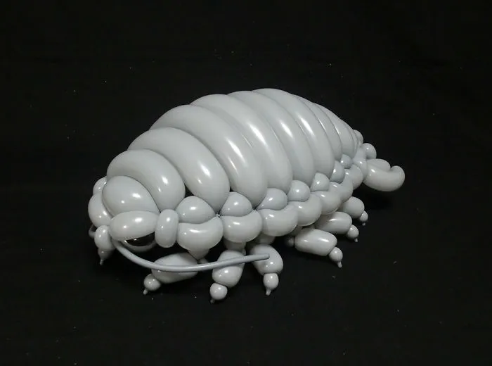 Isópodo gigante