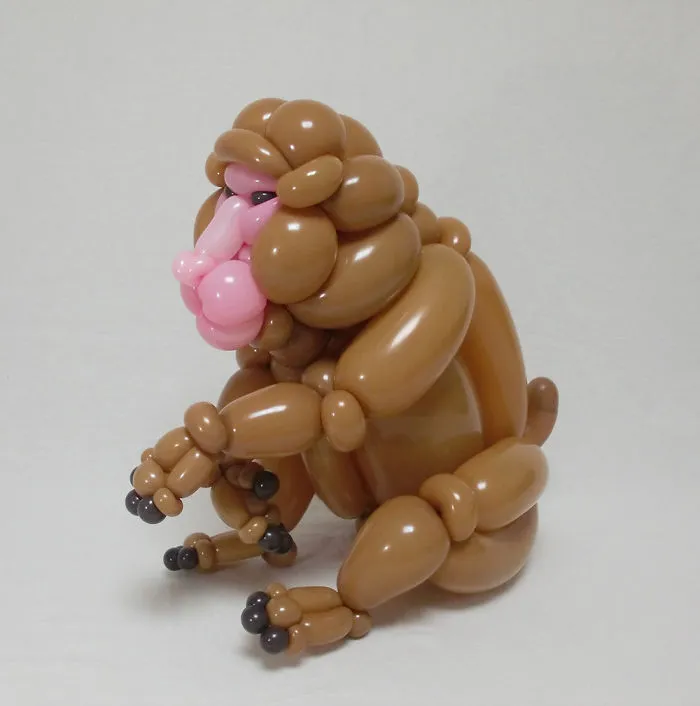 Snow Monkey