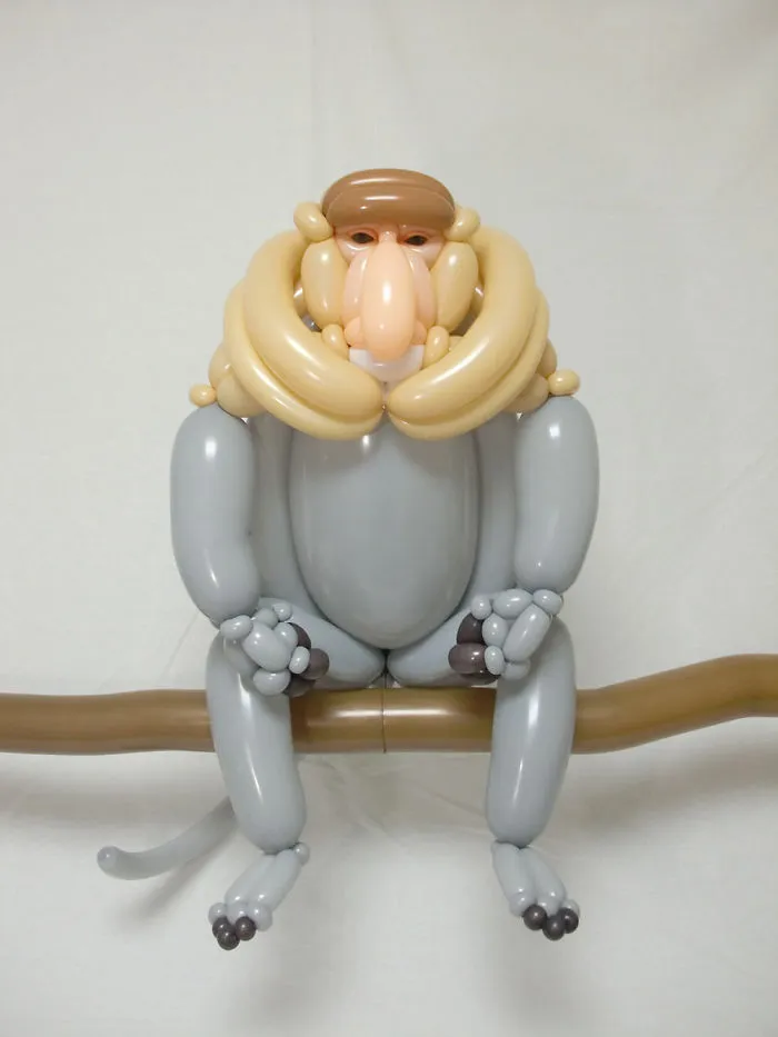 Proboscis Monkey