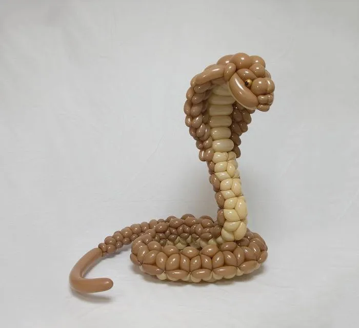 Cobra