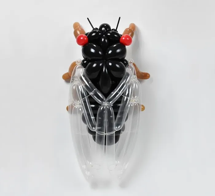 Cigarra