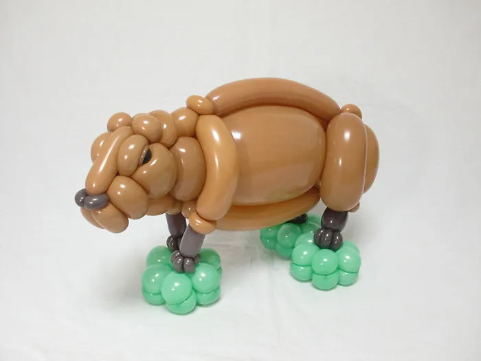 Capybara