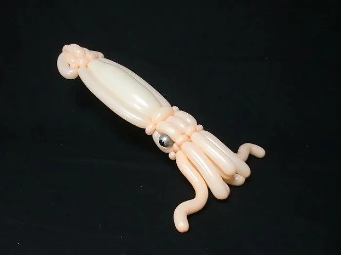 Squid