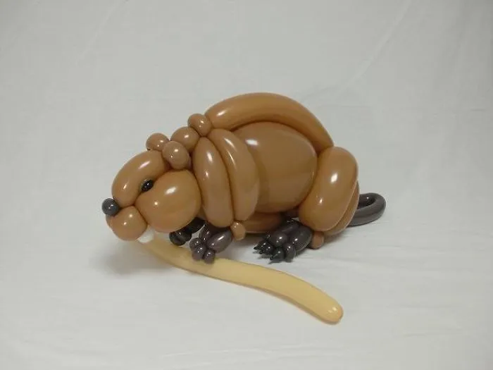 Beaver