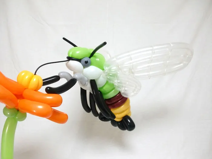 Polilla Halcón