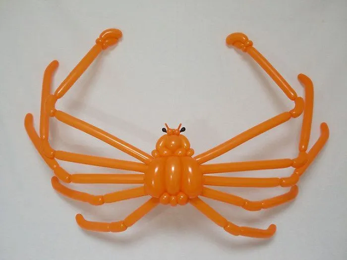Cangrejo araña