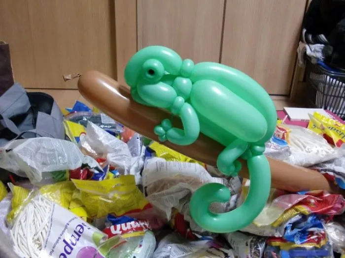 Chameleon