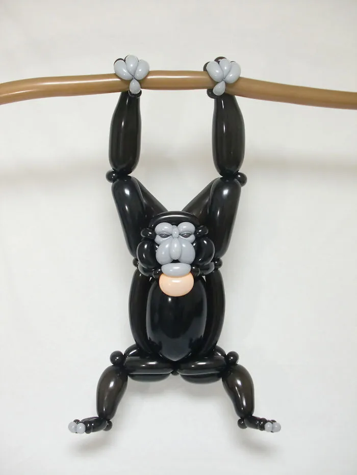 Siamang