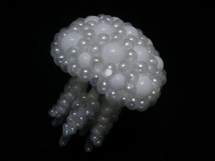 Jellyfish