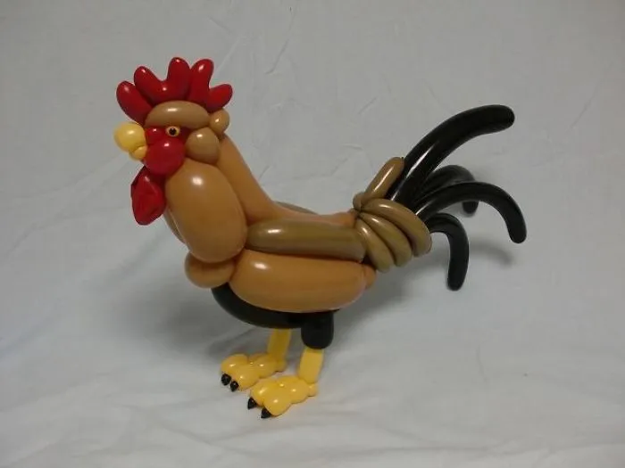 Rooster