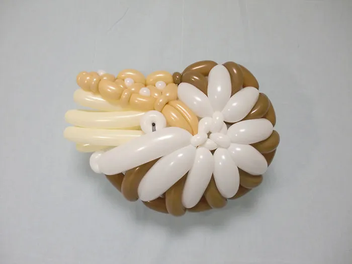 Nautilus