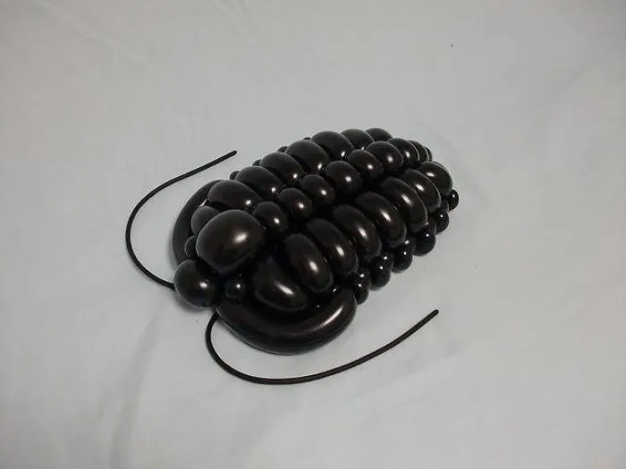 Trilobite