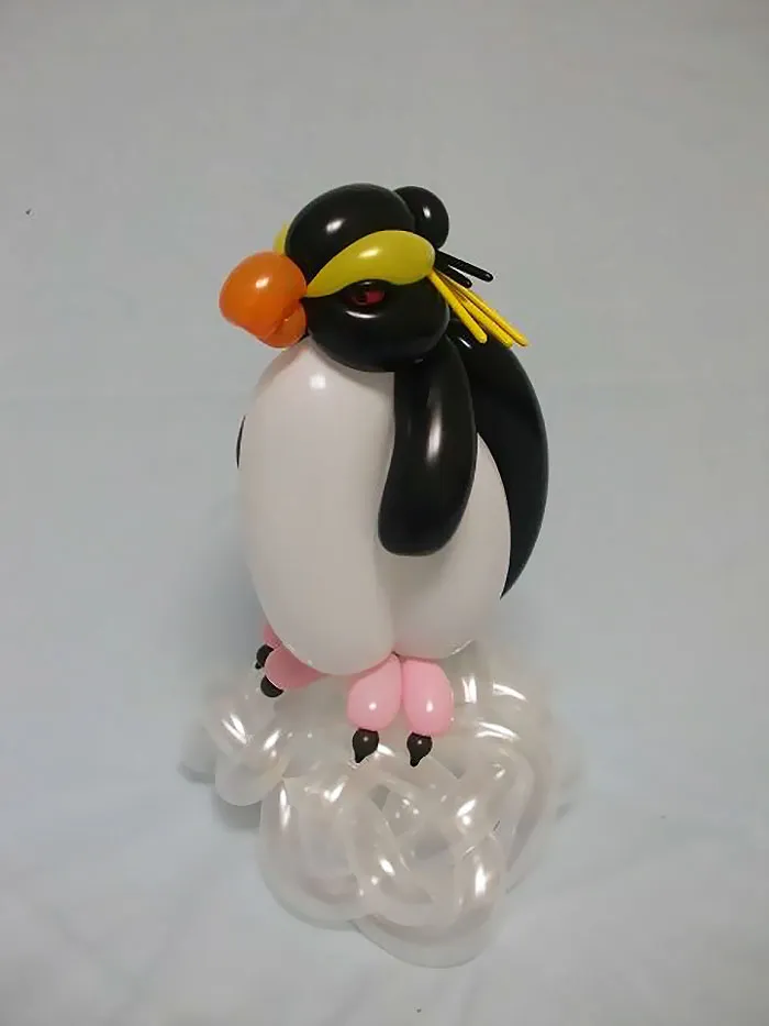 Rockhopper Penguin