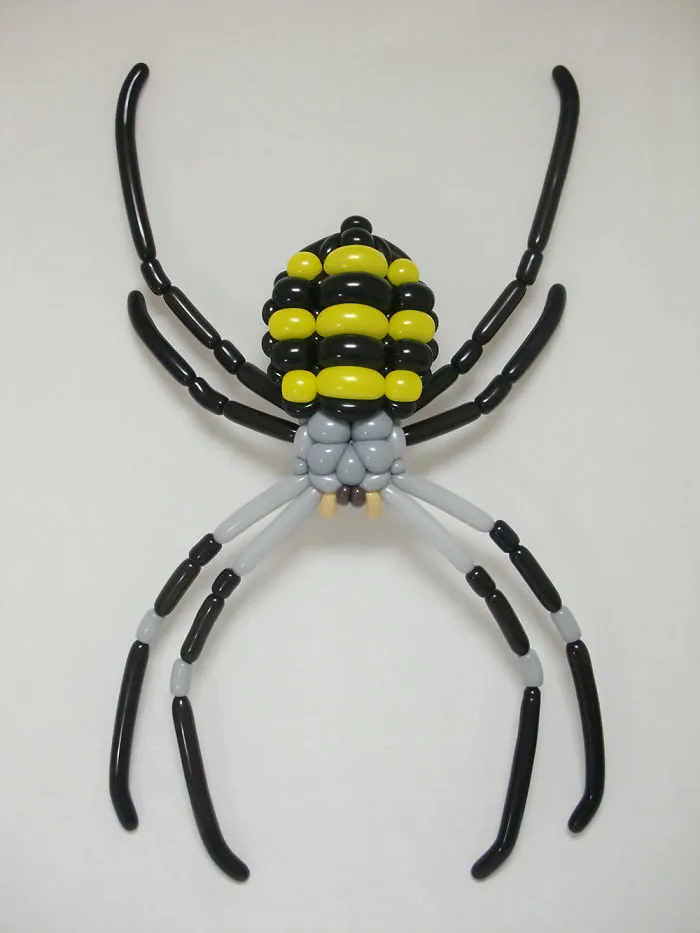 Spider