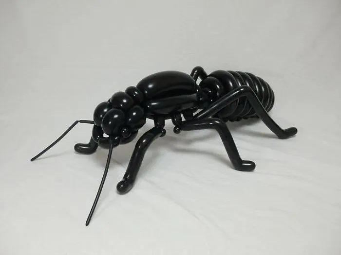 Hormiga