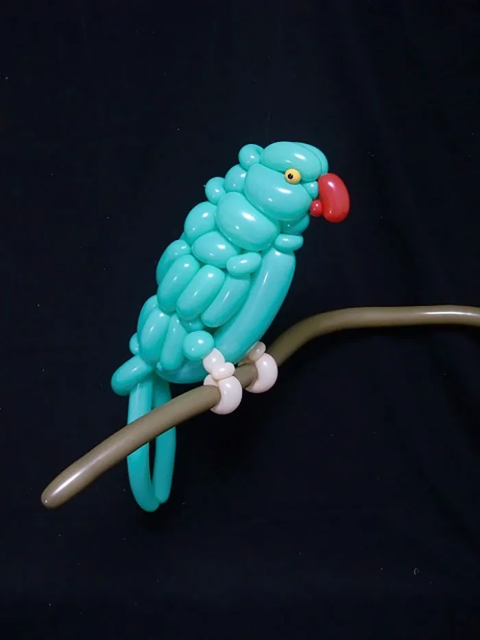 Parrot