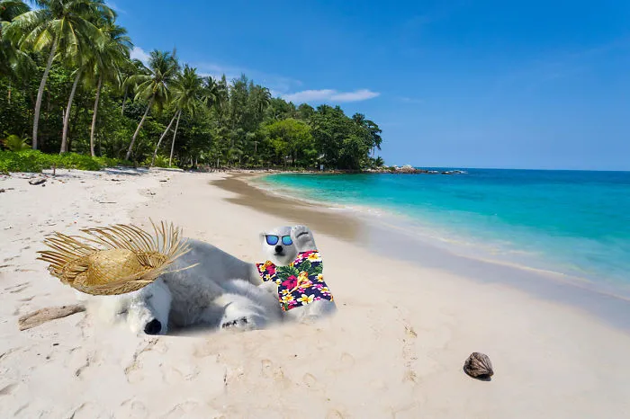 Aloha!!