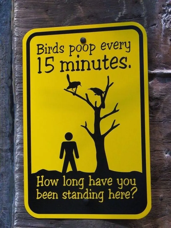 43 Funny Zoo Signs Which Probably Have Some Incredible Stories Behind Them