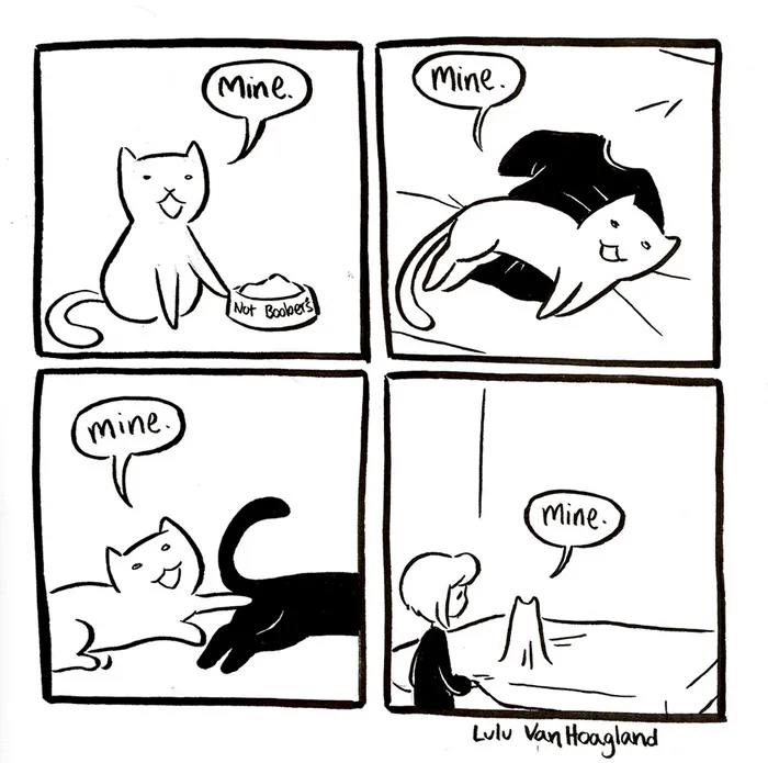 51 Comics By Lulu VanHoagland That Purrfectly Capture Life With Cats