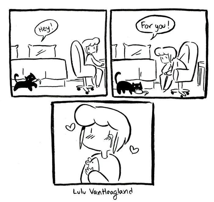 51 Comics By Lulu VanHoagland That Purrfectly Capture Life With Cats