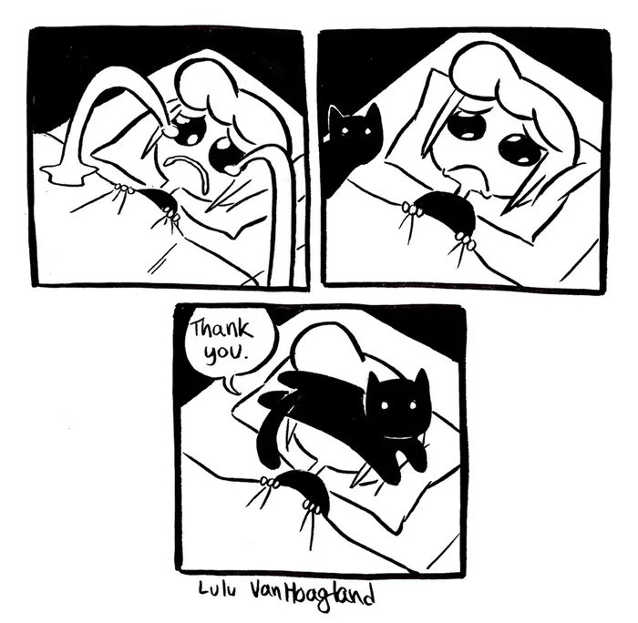 51 Comics By Lulu VanHoagland That Purrfectly Capture Life With Cats