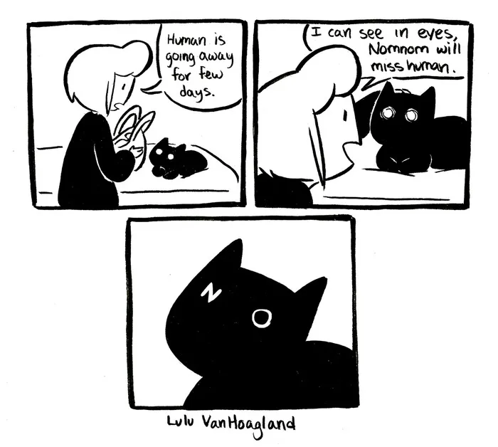 51 Comics By Lulu VanHoagland That Purrfectly Capture Life With Cats