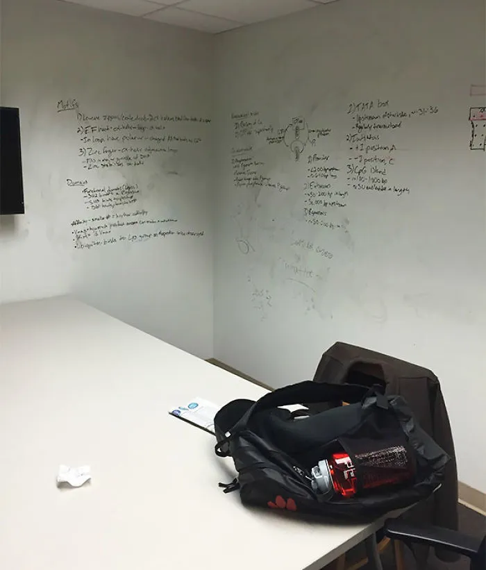 En las paredes de las salas de estudio de la biblioteca se puede pintar