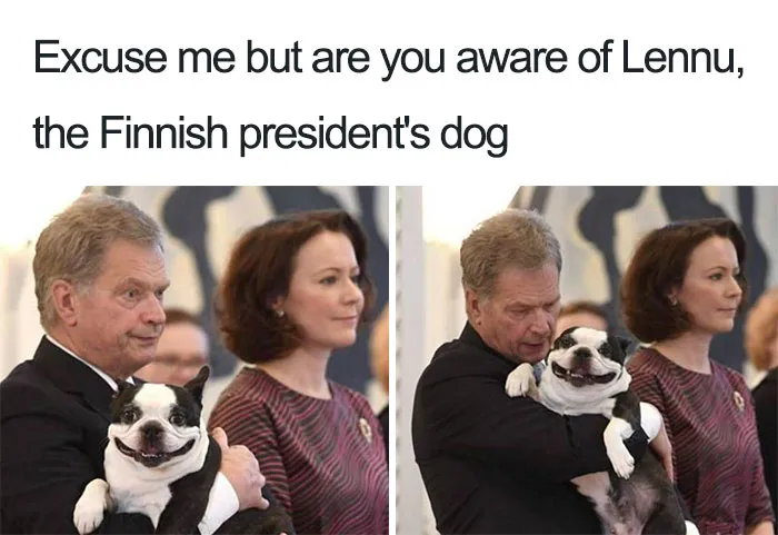 Presidential Dog