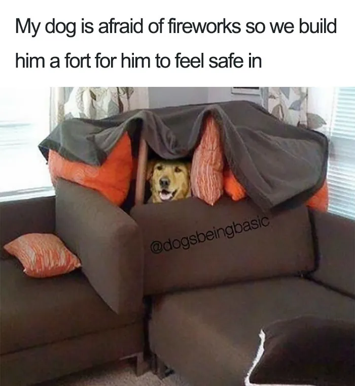 Dog Memes
