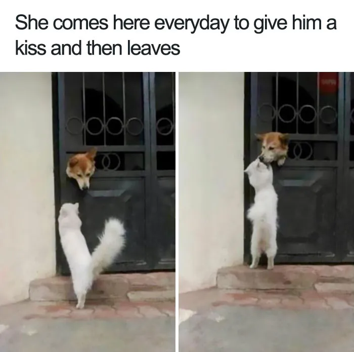 Best Friends