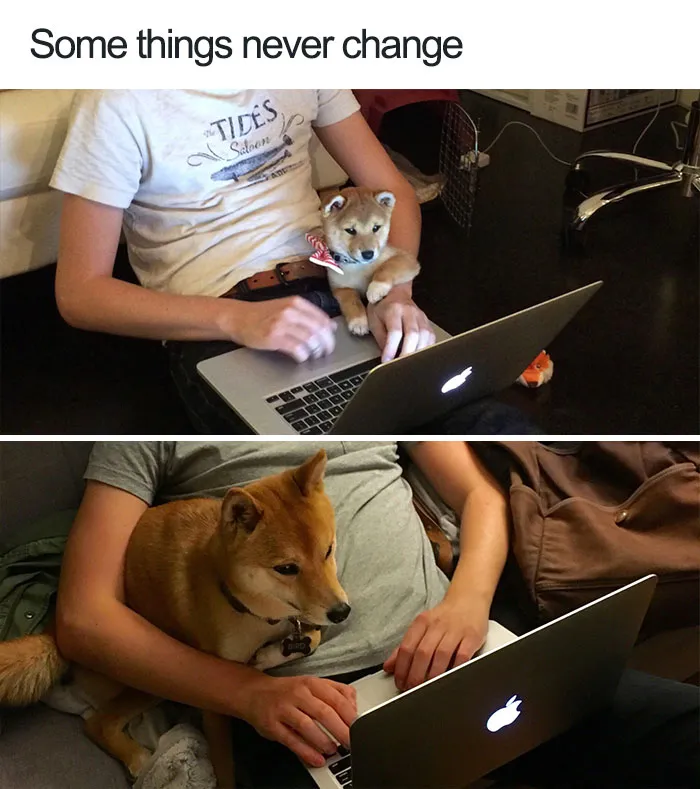 Growing Together