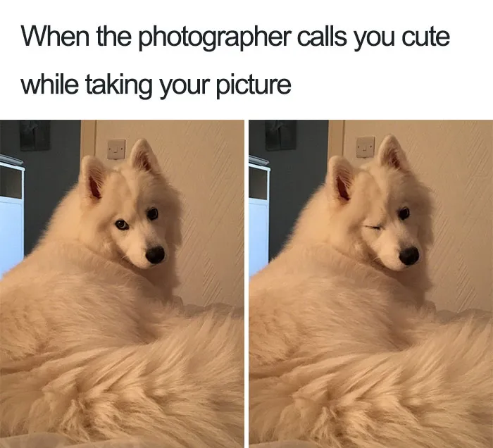 Striking A Pose