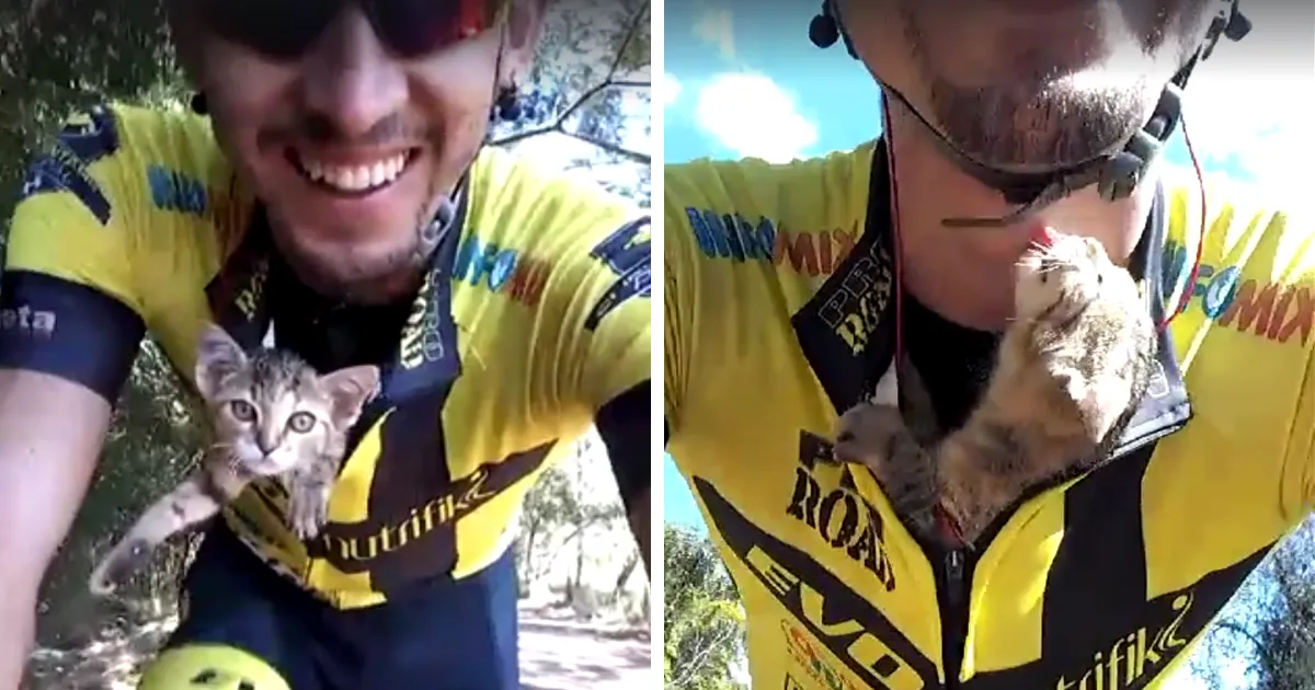 Este ciclista salvó a un gatito perdido metiéndoselo en la camiseta, y este se lo agradece con besos