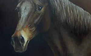 My Equestrian Art