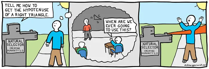 Comics with natural selector asking how to get the hypotenuse of a right triangle 