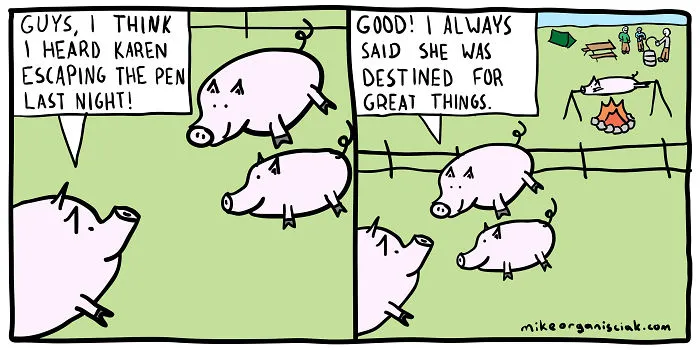 Comics about pig slaughter