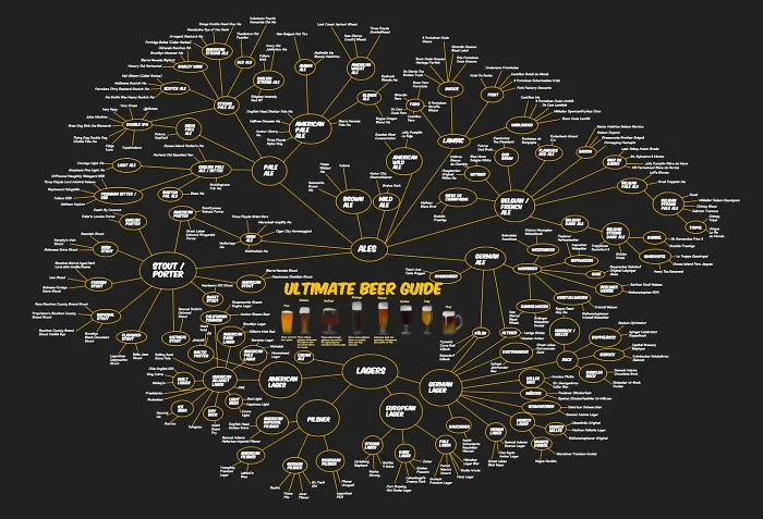 We Mapped All The Beers We Have Tasted