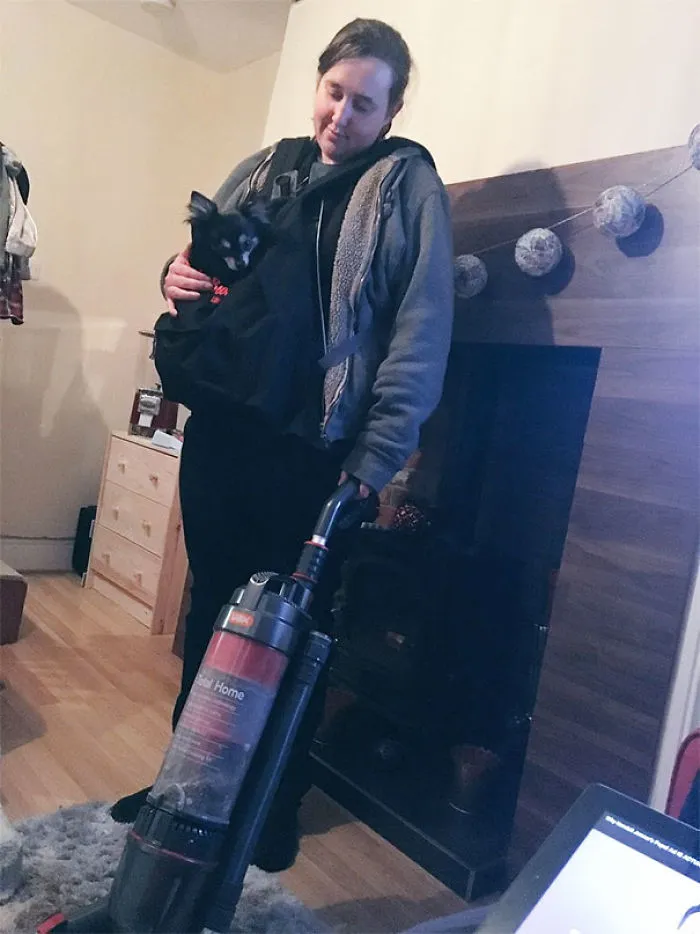 My Dog Is Scared Of The Hoover. I Put Him In A Little Carry Case To Ease His Anxiety