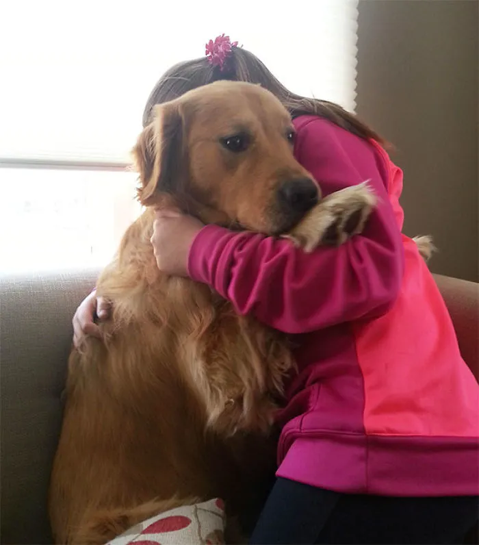 Perro temeroso de la aspiradora