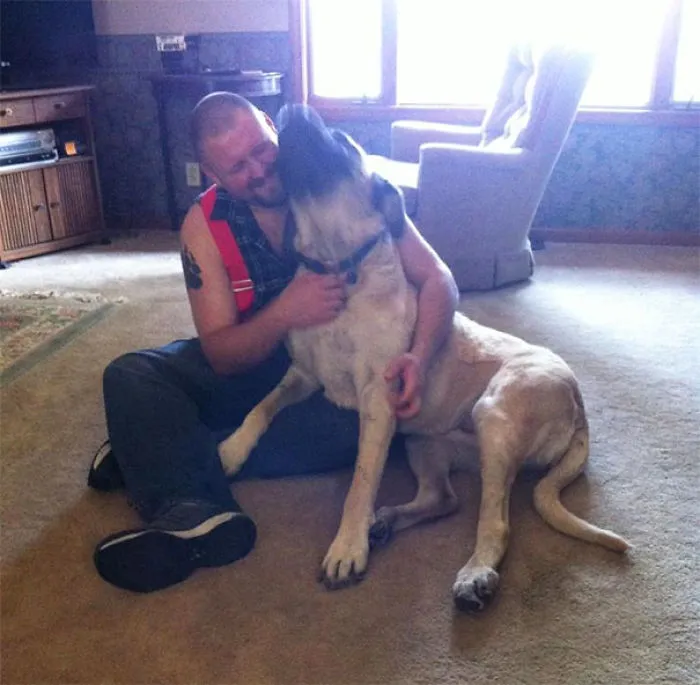 Had To Console My 200 Lb Baby Because The Loud Chainsaw Outside Scared Her