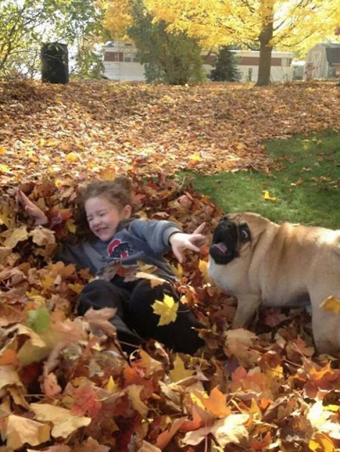 Oh. My. God. Leaves
