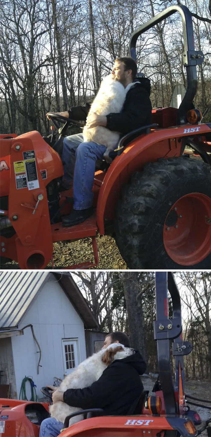 Arky Wanted To Ride With Me On The Tractor. After I Started The Engine, He Got Scared And Wrapped His Front Arms Around My Neck And His Back Legs Around My Leg