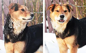 Expectations Vs. Reality: How You Imagine Your Photos To Look Like Versus How You Actually Look