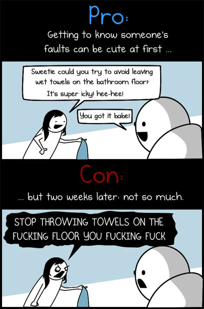 The Pros And Cons Of Living With Your Significant Other By Oatmeal