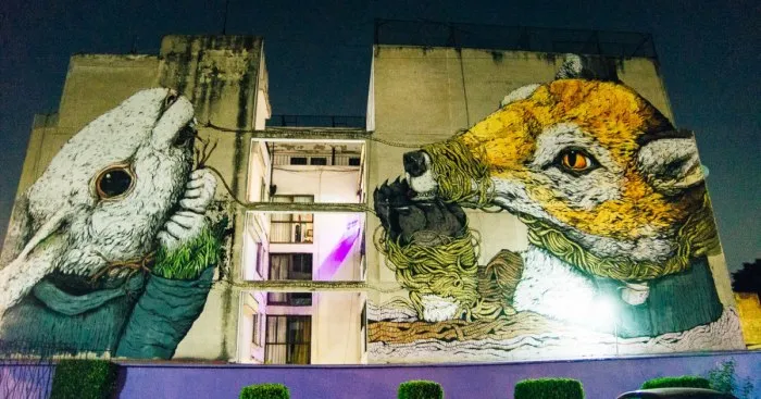 I Photographed The Graffiti Of Latin America