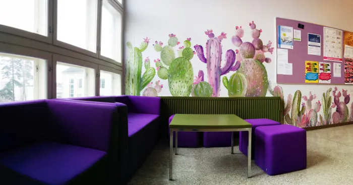 I Created The Cactus Oasis In A Finnish School